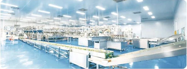 Production facility shown in the company catalogue.